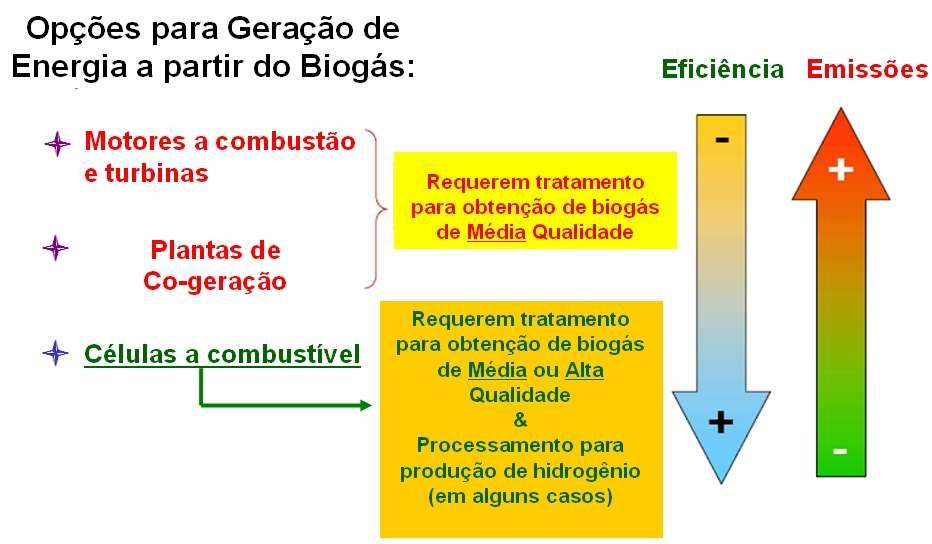 Biogás Biogás para Geração
