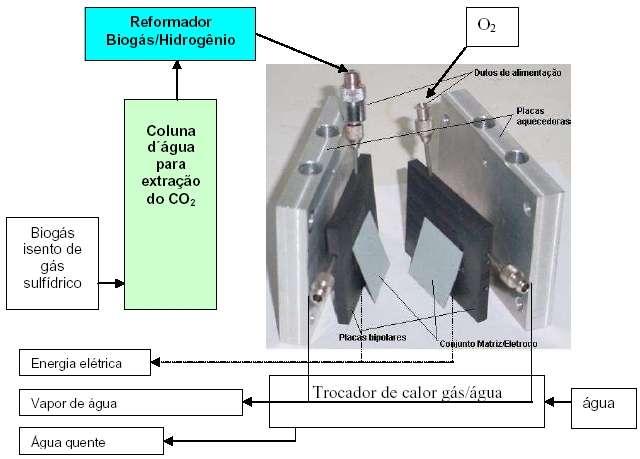 Biogás para