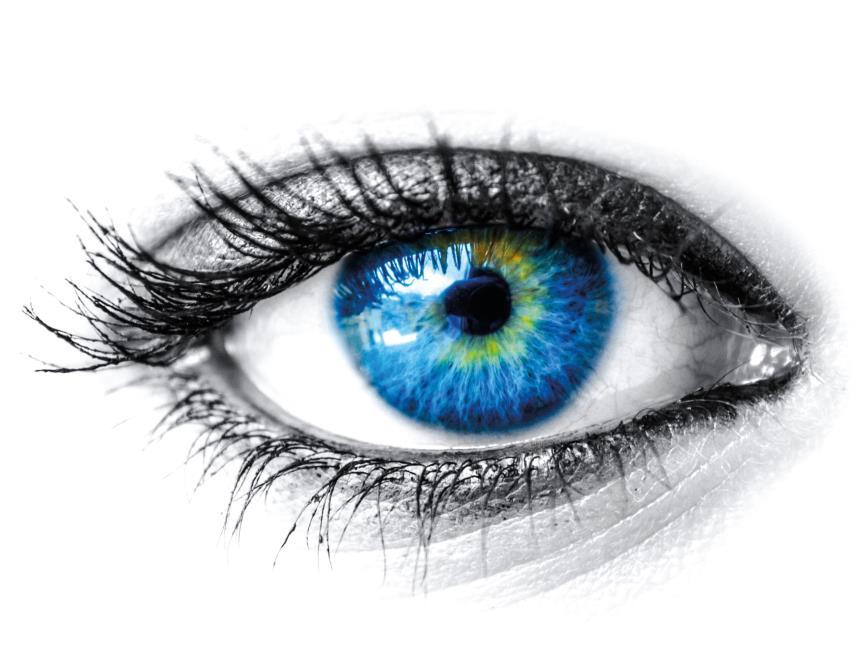 A sentidos Percepção visual A visão é a principal fonte de informação Processo da visão: Recepção
