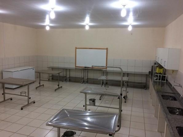 sala de recuperação anestésica para grandes animais, todos equipados com material necessário para realização de todos os procedimentos