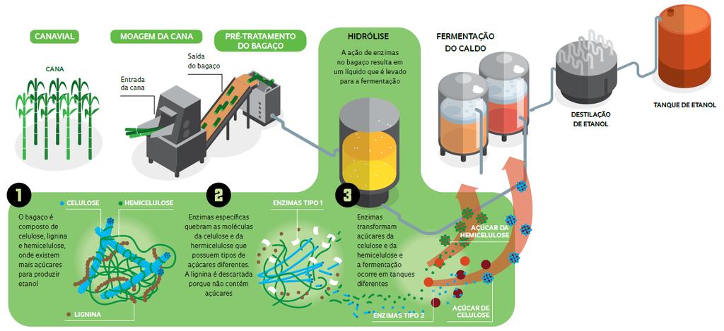 24 O processo de obtenção de etanol 2G, realizado através da hidrólise enzimática de materiais lignocelulósicos, consiste basicamente das etapas descritas na Figura 11.