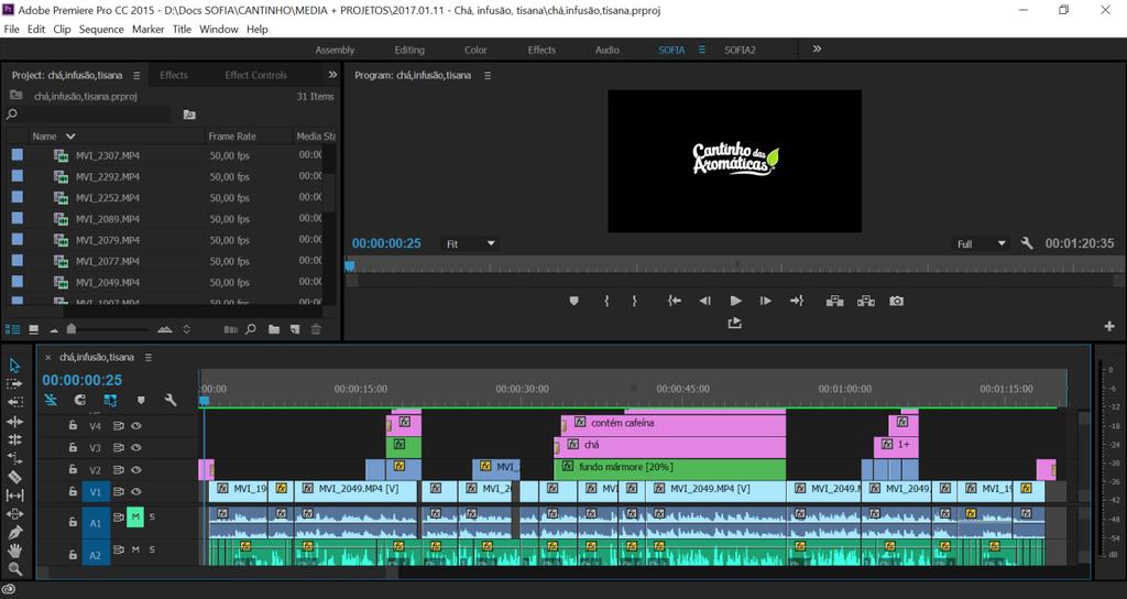 27 2.4. Montagem e edição Para a montagem e edição dos vídeos foi utilizado o programa Adobe Premiere Pro CC 2015 (Figura 25).