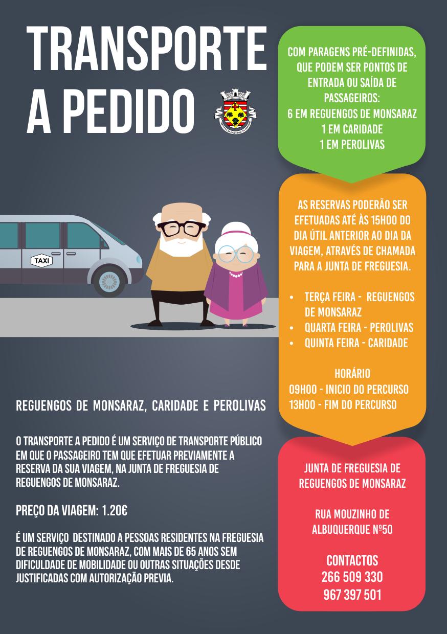 4. Exemplo prático A Freguesia de Reguengos de Monsaraz tinha em projeto um Transporte Solidário, destinado aos seniores com o objetivo de facilitar o acesso a serviços e ocupações desportivas,