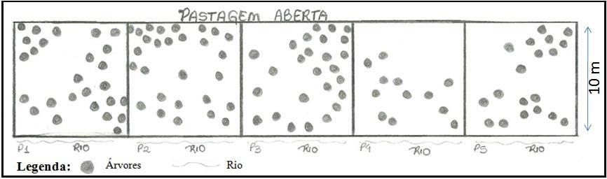 DOI: http://dx.doi.org/10.4025/bolgeogr.v37i1.36359 38 Tabela 3 Espécies encontradas na Pastagem Aberta Famílias Nome científico das espécies Nome popular Aquifoliaceae Ilex paraguariensisa. St.-Hil.