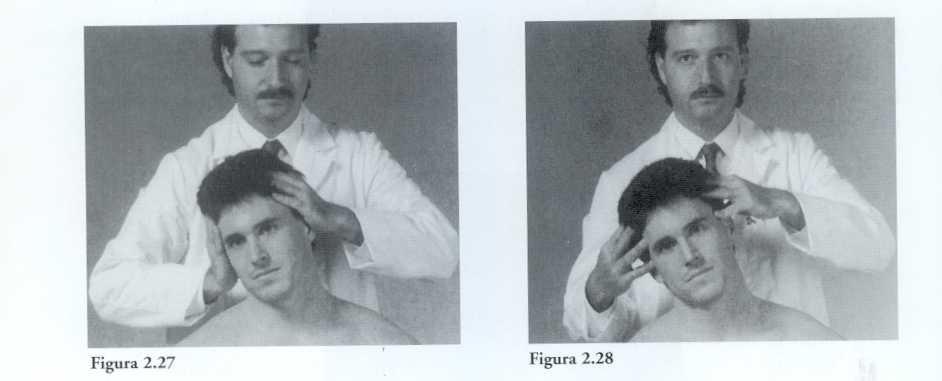 Teste de Odonogbue Realizar contração isométrica resistida e contração isotônica resistida, se houver dor há lesão muscular ou tendinea.