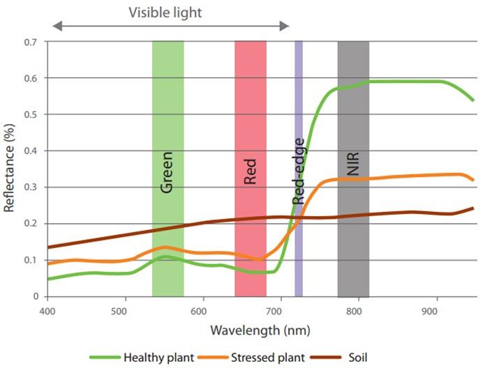 MAPEAMENTO DA VEGETAÇÃO:O mapeamento da vegetação passa pela análise do comportamento da luz ao incidir nas folhas.