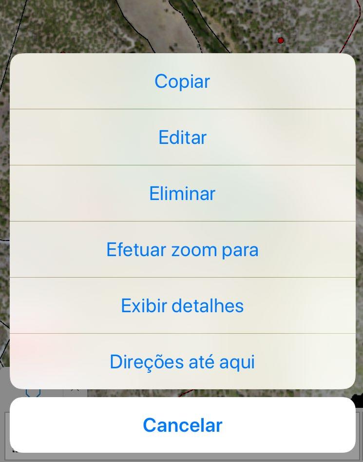 O mapa geral deve ter apenas visível a informação pertinente para aquele momento ou para o