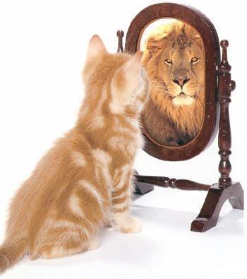 Sistematicamente se olhe no espelho e diga: EU sou Fantástica!