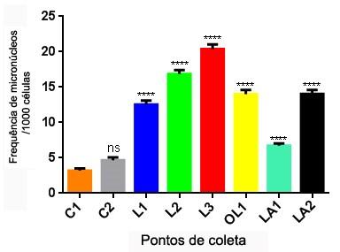 Figura 22. Gráfico representativo da frequência de micronúcleos encontrada em eritrócitos de peixes de acordo com cada ponto de coleta. Os dados representam a média ± o erro padrão. * p < 0,05.