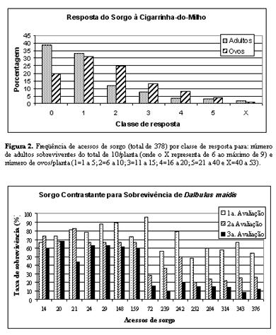 WAQUIL, J. M.; OLIVEIRA, E.; PINTO, N. F. J. A.; FERNANDES, F. T.; CORRÊA, L. A. Efeito na produção e incidência de viroses em híbridos comerciais de milho. Fitopat. Brasil., v. 21, n.4, p.