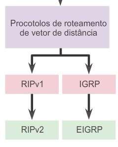 Operação do protocolo de roteamento de vetor distância Tecnologias de vetor distância Protocolos de roteamento de vetor distância Atualizações de compartilhamento entre vizinhos Não reconhece a