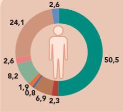 TRABALHO E EDUCAÇÃO Distribuição das pessoas de 14 a 29