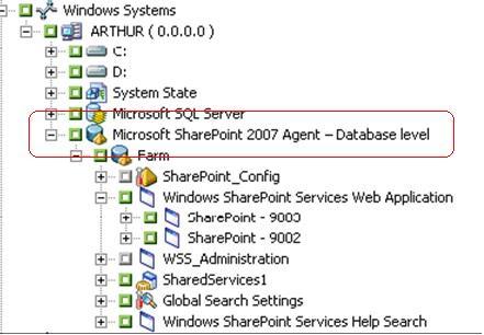 Executar um backup no nível do banco de dados no SharePoint Server 2007 Observação: faça sempre um backup completo ao executar o agente pela primeira vez, após atualizar para um Service Pack e após