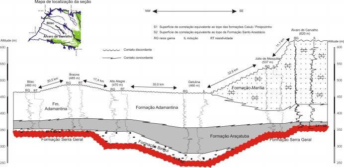 Flavio de Paula e Silva et al. Figura 6.