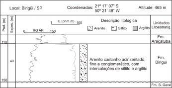 Estratigrafia de subsuperfície do Grupo Bauru (k) no estado de São Paulo psamítica dominante e escassez de fácies pelíticas, menos organizado (Paula e Silva 2003).