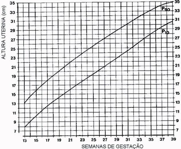 Foram desenvolvidas curvas de altura uterina em função da idade gestacional, nas quais os percentis 10 e 90 marcam os limites da normalidade. Gráfico 5 Altura uterina vs.