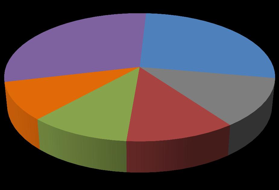 Período Participação Randon OUTROS 29,6% RANDON 26,9% 2012 30,4%