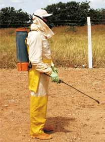 4 - Execute o controle químico O controle do mato com herbicidas é geralmente utilizado em pomares comerciais para reduzir o custo de mão de obra com capinas.