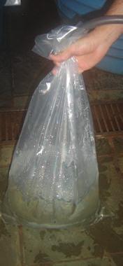 COLEÇÃO SENAR Nº 167 Outra opção é a utilização de dois sacos plásticos (um dentro do outro) de 25 a 30 litros.