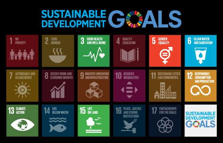 Compromisso da Essity com os Objetivos de Desenvolvimento Sustentável das Nações