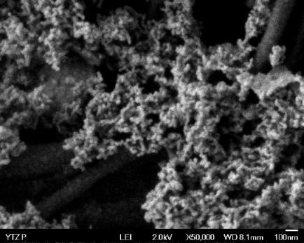 Na Figura 4 estão apresentadas as micrografias observadas ao microscópio eletrônico de varredura por emissão de campo dos pós calcinados de 3YTZP.