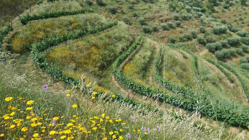 Gestão de Ecossistemas e Biodiversidade