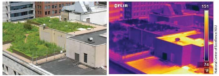 Influência da temperatura superficial cobertura jardim vs cobertura