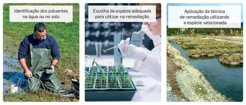 Sustentabilidade dos recursos geológicos