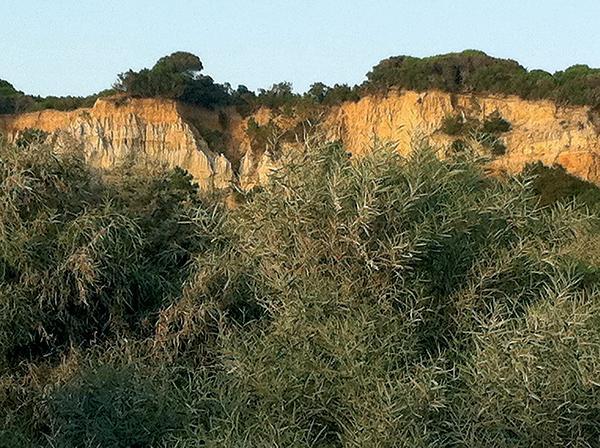 Áreas protegidas em Portugal Reserva Natural do Ilhéu das Formigas Paisagem Protegida da