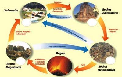 CICLO DAS