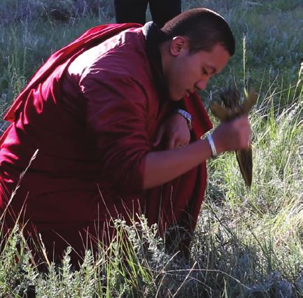 S. Dilgo Khyentse Rinpoche a fim de compartilhar o raro budadharma com todos que se interessem.