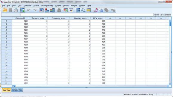 Os dados de saída serão semelhantes à Figura 11 no Data Editor após a execução do procedimento de modelagem. Figura 11. O arquivo output.