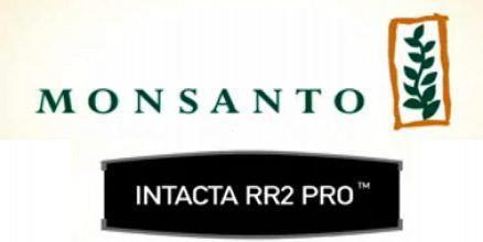 SOJA INTACTA (RR2) - 2010 Liberação Comercial de Soja Geneticamente Modificada Resistente a Insetos e Tolerante a Herbicida.