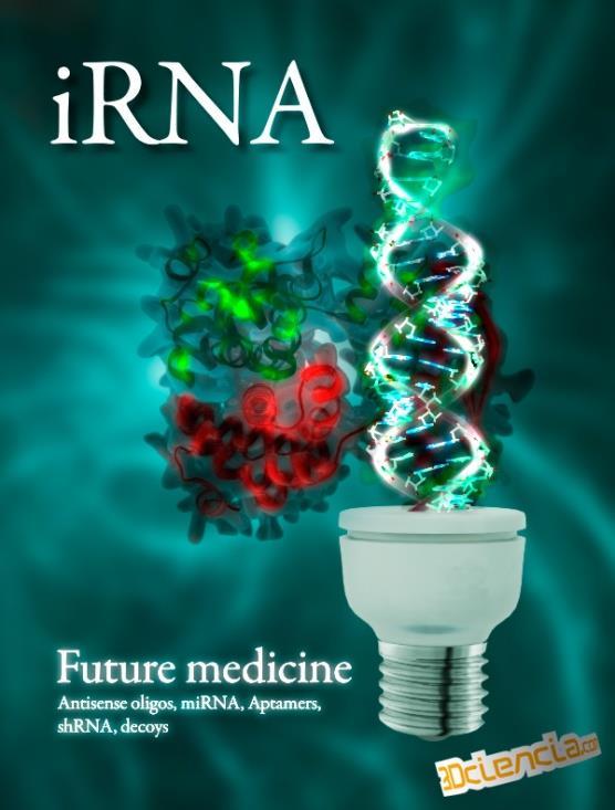 1973 - Boyer e Cohen - DNA Recombinante 1953 - Watson e Crick - DNA 1982-1º produto GM - (insulina humana) Descrito em 1998 por Craig &Mello