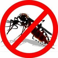 PROFILAXIA Medidas Mecânicas: Eliminação de objetos que acumulem água (pneus, frascos, garrafas); Tela protetora contra mosquitos