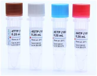 Reação em cadeia da polimerase - PCR In vitro tp://www.norgenbiotek.
