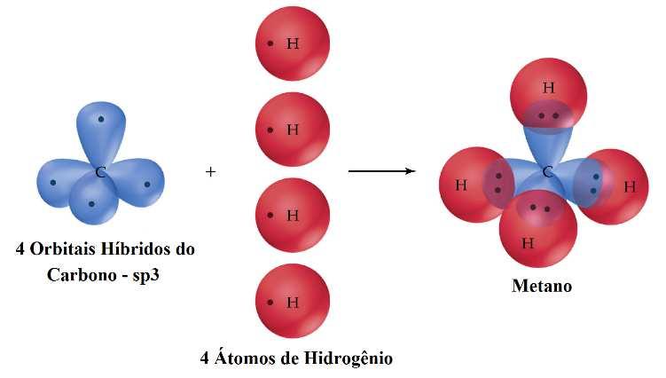 O primeiro passo para se entender o processo de hibridação, é excitar o átomo de