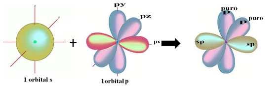 A representação espacial dessa hibridização entre um orbital s e um p, originando um orbital híbrido sp, pode ser