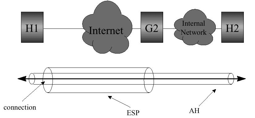 integridade dos dados extremo a extremo Aplicações Tipo do IPSec Guerreiro da Estrada