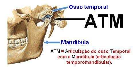 FACE MAXILA, MANDÍBULA E ARTICULAÇÃO TEMPOROMANDIBULAR >