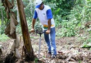 09/06/2016 Para facilitar a vida dos produtores de banana Foi criado o desperfilhador para bananeiras.