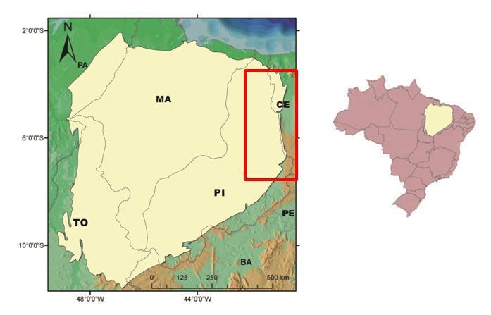 2 1.1 Objetivo O objetivo deste trabalho é caracterizar as litofácies e suas sucessções nos intervalos Siluriano e Devoniano em afloramentos da borda Leste da Bacia do Parnaíba, que correspondem aos