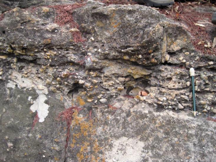 35 centímetros de arenito de granulometria muito fina e siltito. Ocorrem também clastos caídos dispersos.