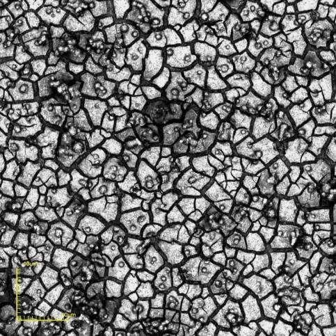 (a) (b) Figura 57 Micrografias de topo obtidas por microscopia confocal  depositado com T S = 450 C,