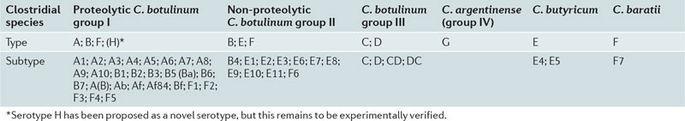 Toxina botulínica Codificação da produção Varia com sorotipo BoNTs A, B, E e F e prot não tóxicas