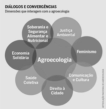 Tait, M. M. ; Neves, E. F. ; Gonçalves, G. 08 e difusão das práticas agroecológicas.