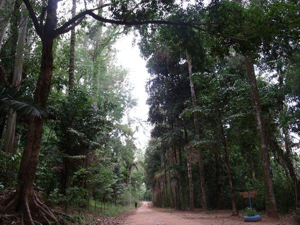 Permissão de Uso - Floresta de Bebedouro Decreto 65.