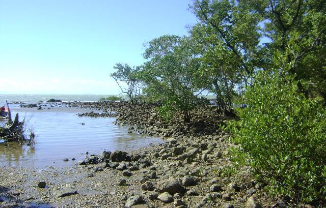 Mangue de Pedra Localizado no Bairro da Rasa, ao lado leste da Ponta do Pai Vitório, este manguezal tem uma característica que o difere de