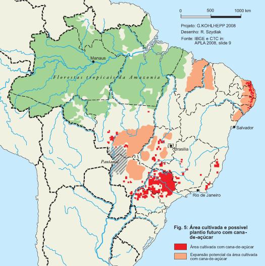 10 Figura 2: Expansão da área cultivada com Cana-de-açúcar no Brasil Fonte: KOHLHEPP, 2010.
