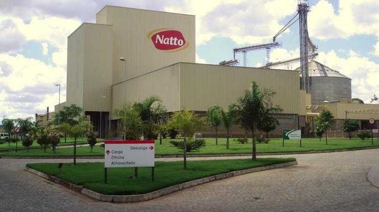 2. CARACTERIZAÇÃO DA EMPRESA A sede da empresa Notaro Alimentos LTDA- Natto localiza-se na cidade de Belo Jardim-PE, atuando desde 2001, em regime de integração e sua produção alcança todo o Nordeste.